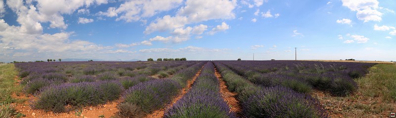 IMG_9563 (2)_panorama.jpg